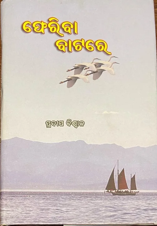 ଫେରିବା ବାଟରେ — book cover
